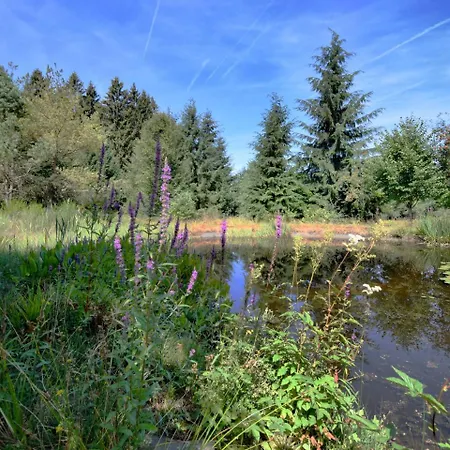 Сasa de vacaciones Peaceful Holiday In Butgenbach With Terrace Leykaul
